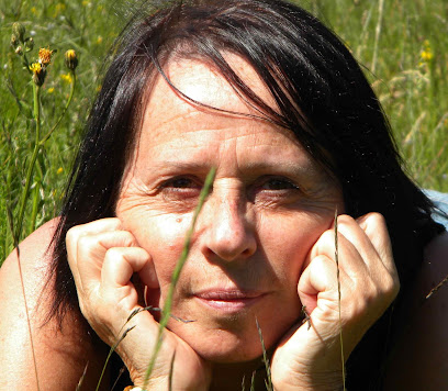 Véronique Lalauze, Voyant aux Vans