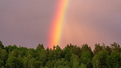 Entre Terre Et Ciel, Voyant à Serris