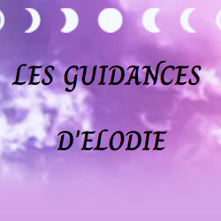 Les Guidances D'elodie Voyant à Barr
