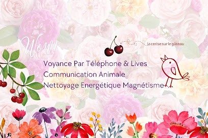 Nadia Béryl, Voyant à Vernon