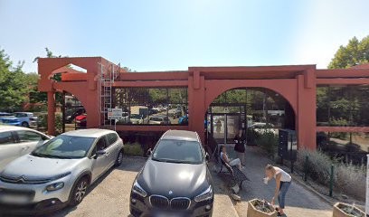 Esmeralda, Voyant à Valbonne