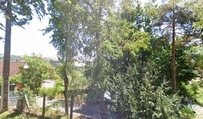 Suzanne Seyve, Voyant à Sorbiers