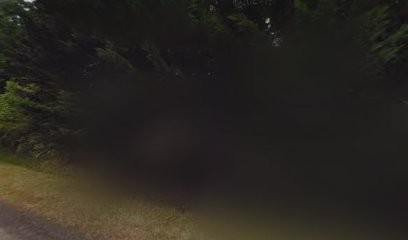 André Karine, Voyant à Soullans