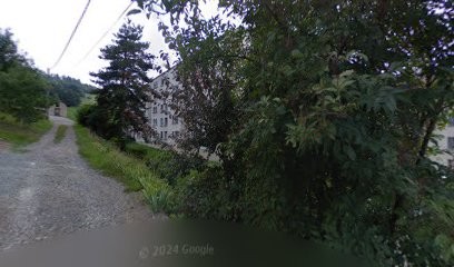 Mistic Entreprise Francois Griffon, Voyant à Tarare