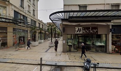 Sam Le Guérisseur, Voyant à Vichy