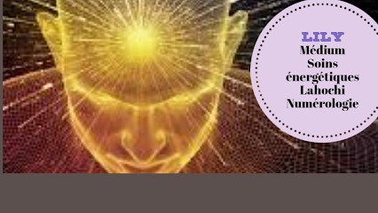 Lilyenergie, Voyant à Varzay