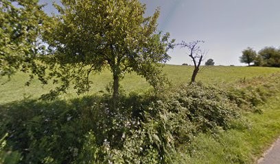 Alexandre Demestre Voyance, Voyant à Vigeois