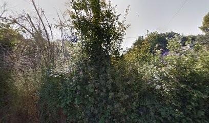 Deeva - Tarologie et Numérologie près de Lisieux (14), Voyant à Valorbiquet