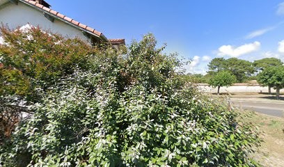 L'evidence, Voyant à Vieux-Boucau-les-Bains