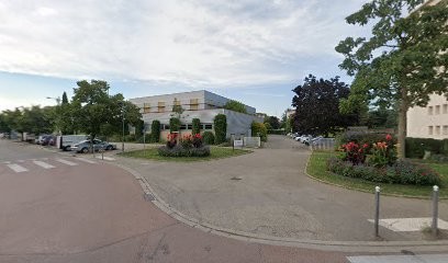 Philip voyant, Voyant à Tassin-la-Demi-Lune