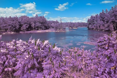 Racine De Jade, Voyant à Sormery