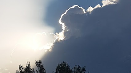 Chrystèle TRUEBA, Voyant à Thourie