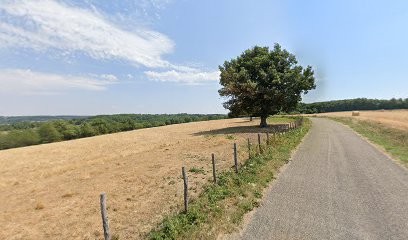 Gierke Roux Georgette, Voyant à Roybon