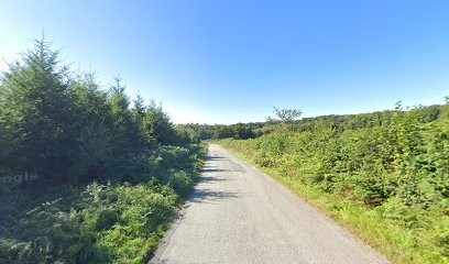 Ines D'alandrey Voyante, Voyant à Vallière