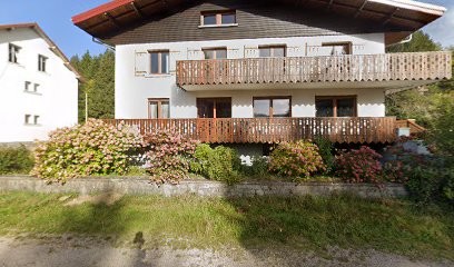 Mme Stella Magnétiseur, Voyant à Xonrupt-Longemer