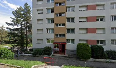 Les Messages étoilées D'arwen, Voyant à Saint-Priest-en-Jarez