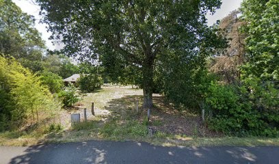 Roses Voyance, Voyant à Sanguinet