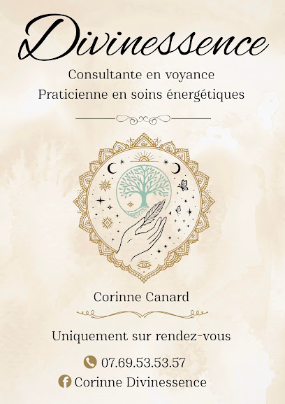 Divinessence, Voyant à Monteux