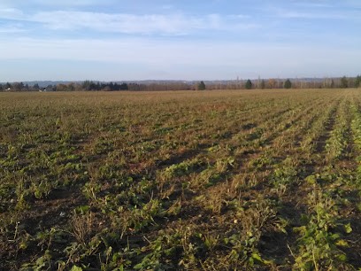 Isabelle Galloutchenko, Voyant à Tullins