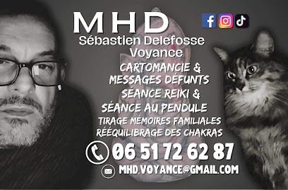 M H D Sebastien Delefosse Voyance Voyant à Avion