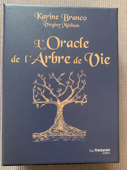 Virginy Médium Voyant à Vivy